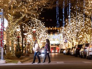 Winter Wanderland Feature Photo- Cherry Creek